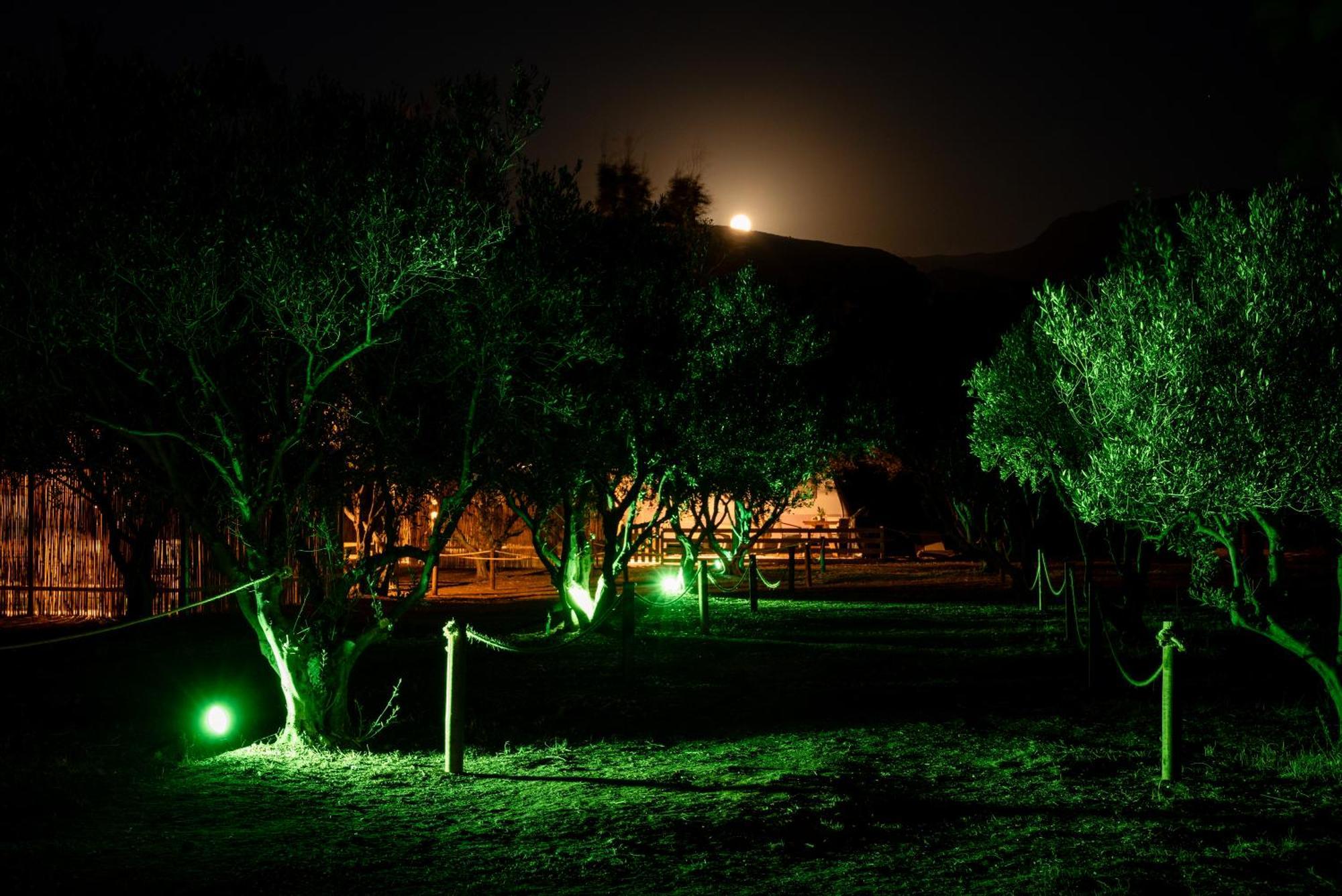 Falasarna Caravans Buitenkant foto